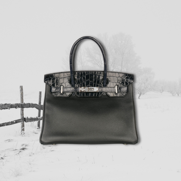 The Economics of the Birkin – Pricing Strategies and Market Demand
