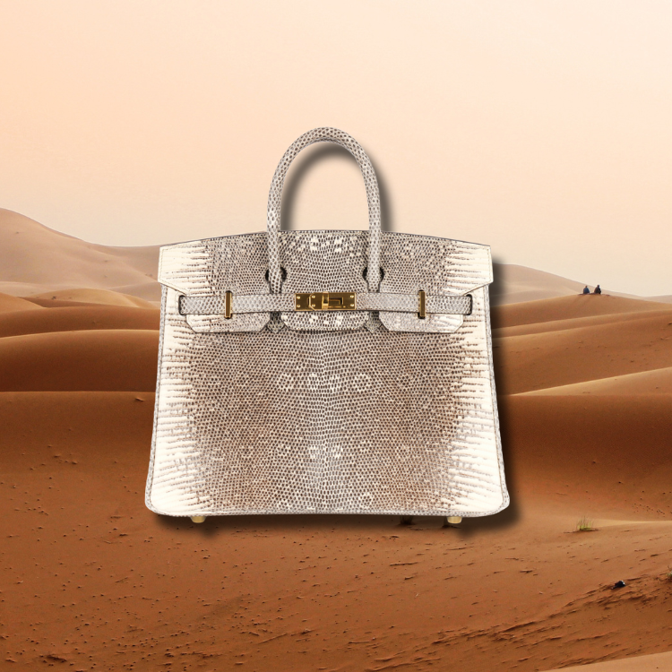 Collecting Colours – Navigating the Birkin’s Rainbow of Options