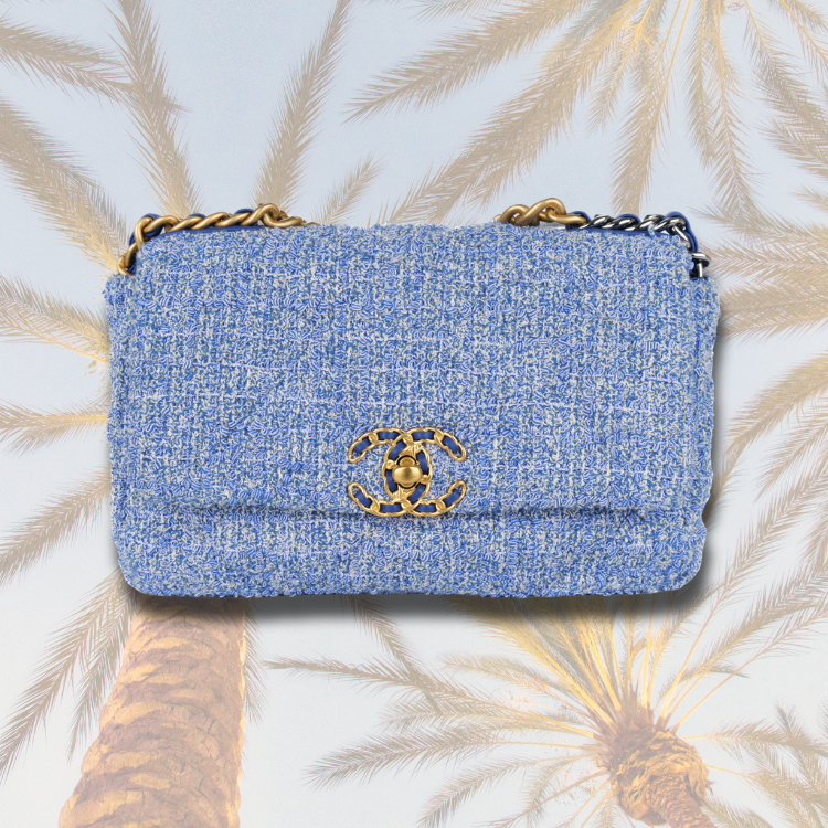 Red‑Carpet Ready – Celebrities Embracing the Chanel 19