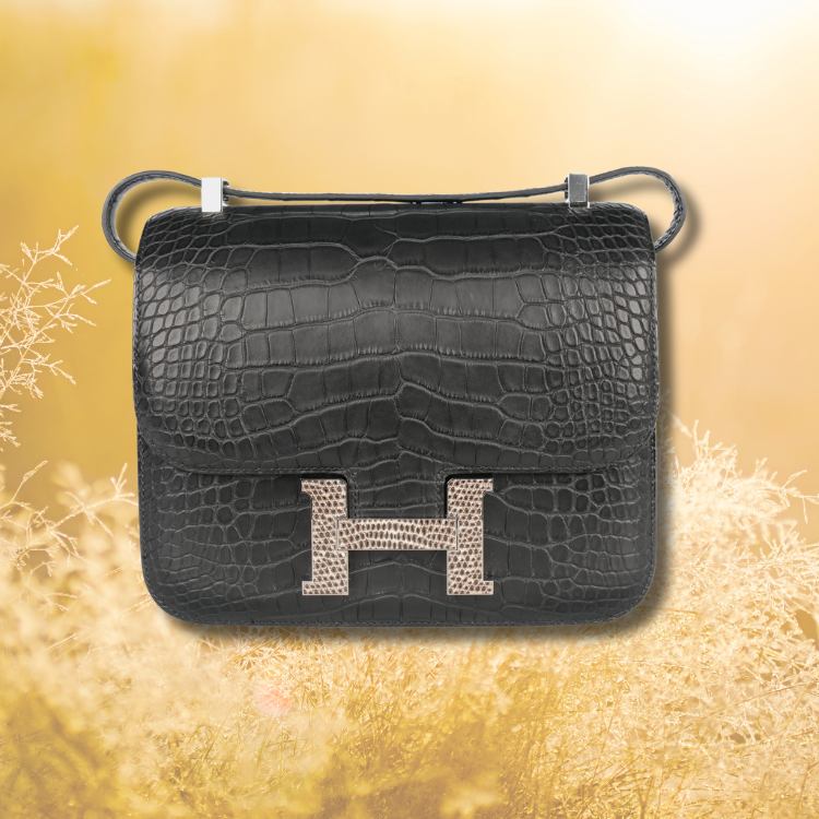 Caring for Your Constance – Maintenance and Protection